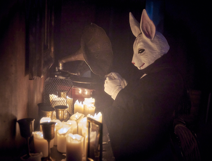 White rabbit puts record on photograph on candlelit mantle